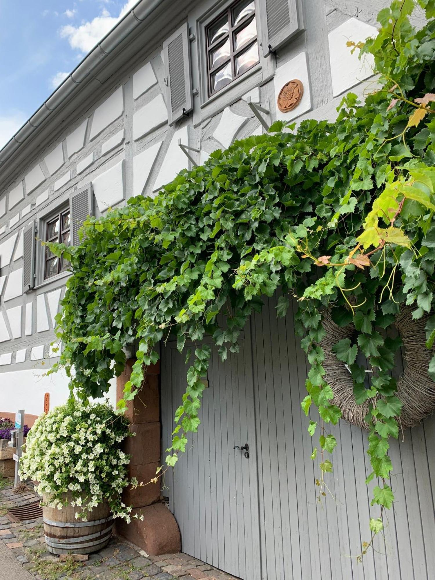 Ferienwohnung Sambachhaus Gleiszellen-Gleishorbach Extérieur photo